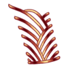https://www.eldarya.de/assets/img/item/player//icon/ab9096ec3a057c353d2b6bdeae522a46~1604527054.png