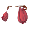 https://www.eldarya.de/assets/img/item/player/icon/e21fb34d3fb5b9310057aa9194e8044c.png